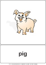 Bildkarte - pig.pdf